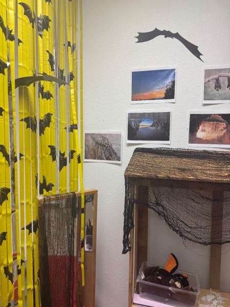 Dramatic Play Center, Bats theme
