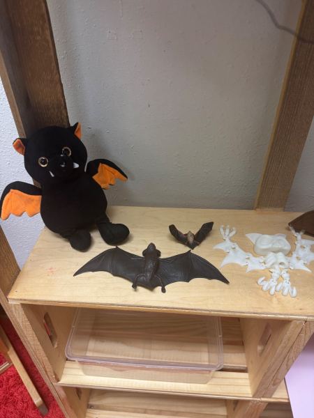Dramatic Play Center, Bats theme