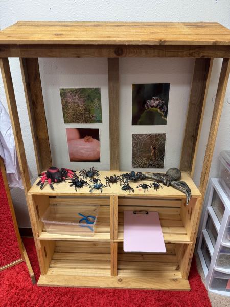 Dramatic Play Center, Spiders theme