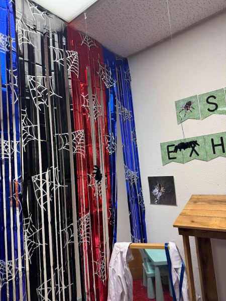 Dramatic Play Center, Spiders theme