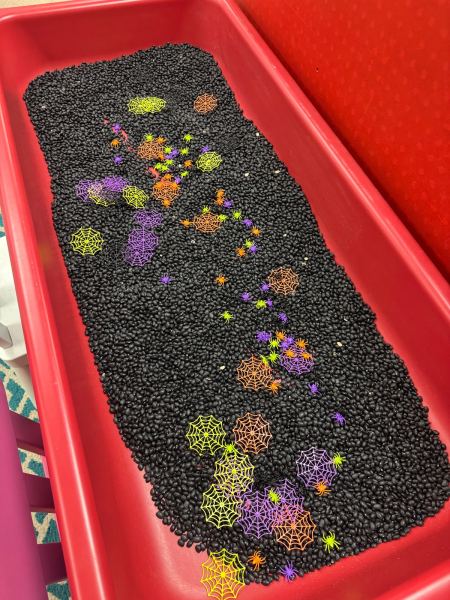 Sensory Table, Spiders theme
