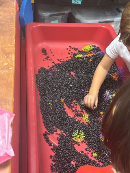 Sensory Table, Spiders theme